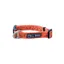 Fell Dog Drench Waterproof Collar - Orange Mountains