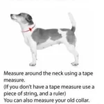 Fell Dog Drench Waterproof Collar - Orange Mountains-2